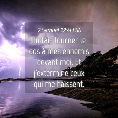 Picture 04 - 2 Samuel 22:41 LSG - Tu fais tourner le dos à mes ennemis devant moi, - Bible Verse Picture