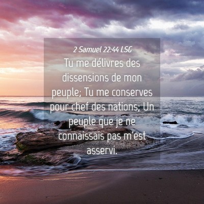 Picture 04 - 2 Samuel 22:44 LSG - Tu me délivres des dissensions de mon peuple; Tu - Bible Verse Picture