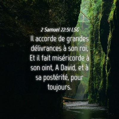 Picture 04 - 2 Samuel 22:51 LSG - Il accorde de grandes délivrances à son roi, Et - Bible Verse Picture
