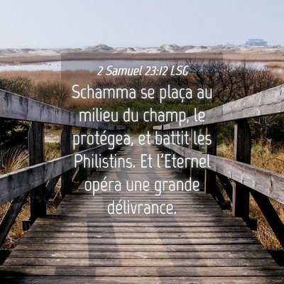 Picture 04 - 2 Samuel 23:12 LSG - Schamma se plaça au milieu du champ, le - Bible Verse Picture