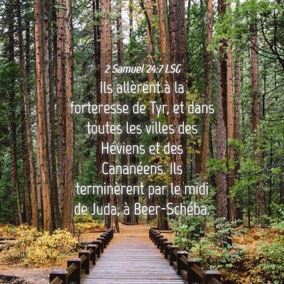 Picture 04 - 2 Samuel 24:7 LSG - Ils allèrent à la forteresse de Tyr, et dans - Bible Verse Picture