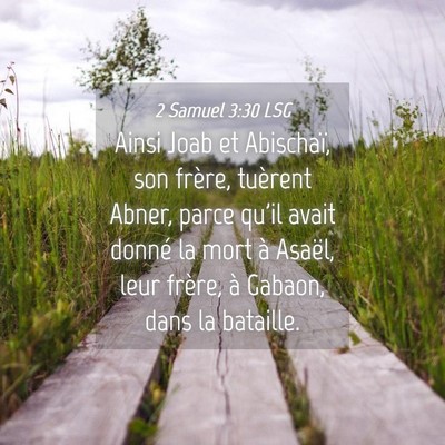 Picture 04 - 2 Samuel 3:30 LSG - Ainsi Joab et Abischaï, son frère, tuèrent - Bible Verse Picture