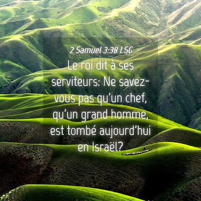 Picture 04 - 2 Samuel 3:38 LSG - Le roi dit à ses serviteurs: Ne savez-vous pas - Bible Verse Picture