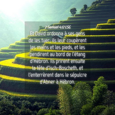 Picture 04 - 2 Samuel 4:12 LSG - Et David ordonna à ses gens de les tuer; ils - Bible Verse Picture