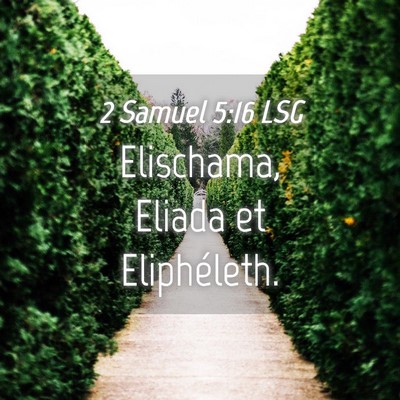 Picture 04 - 2 Samuel 5:16 LSG - Elischama, Eliada et - Bible Verse Picture