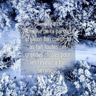 Picture 04 - 2 Samuel 7:21 LSG - A cause de ta parole, et selon ton coeur, tu as - Bible Verse Picture