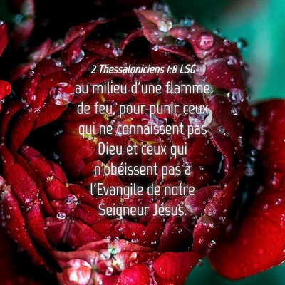Picture 04 - 2 Thessaloniciens 1:8 LSG - au milieu d'une flamme de feu, pour punir ceux - Bible Verse Picture