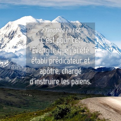 Picture 04 - 2 Timothée 1:11 LSG - C'est pour cet Evangile que j'ai été établi - Bible Verse Picture