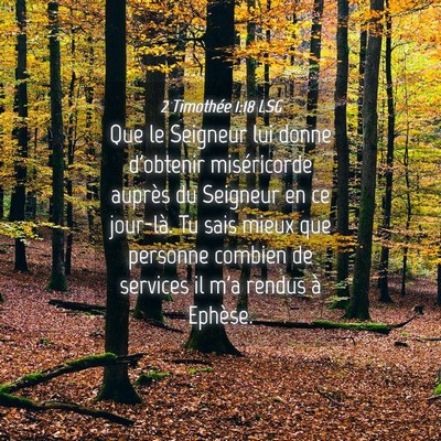 Picture 04 - 2 Timothée 1:18 LSG - Que le Seigneur lui donne d'obtenir miséricorde - Bible Verse Picture