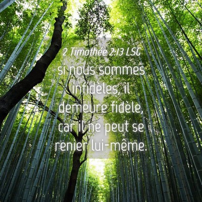 Picture 04 - 2 Timothée 2:13 LSG - si nous sommes infidèles, il demeure fidèle, - Bible Verse Picture