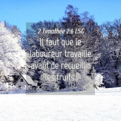Picture 04 - 2 Timothée 2:6 LSG - Il faut que le laboureur travaille avant de - Bible Verse Picture