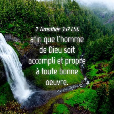 Picture 04 - 2 Timothée 3:17 LSG - afin que l'homme de Dieu soit accompli et propre - Bible Verse Picture
