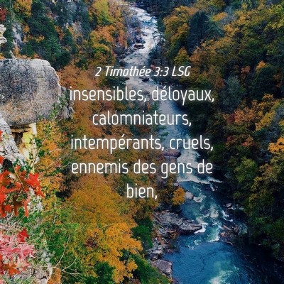 Picture 04 - 2 Timothée 3:3 LSG - insensibles, déloyaux, calomniateurs, - Bible Verse Picture