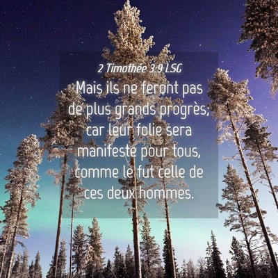 Picture 04 - 2 Timothée 3:9 LSG - Mais ils ne feront pas de plus grands progrès; - Bible Verse Picture