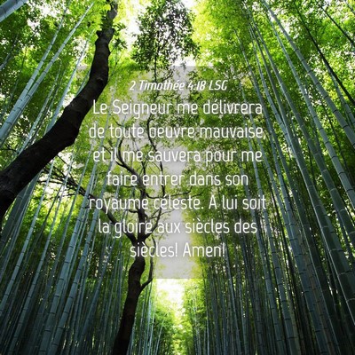 Picture 04 - 2 Timothée 4:18 LSG - Le Seigneur me délivrera de toute oeuvre - Bible Verse Picture