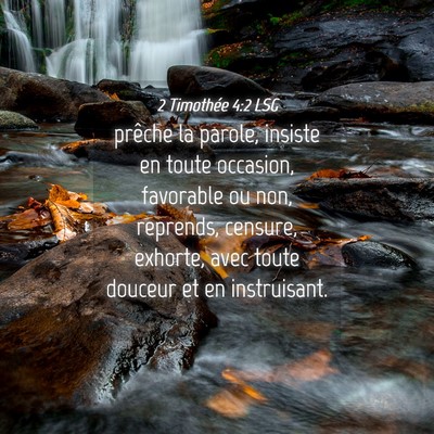 Picture 04 - 2 Timothée 4:2 LSG - prêche la parole, insiste en toute occasion, - Bible Verse Picture