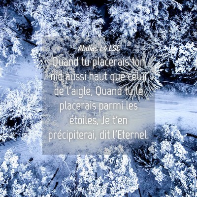 Picture 04 - Abdias 1:4 LSG - Quand tu placerais ton nid aussi haut que celui - Bible Verse Picture