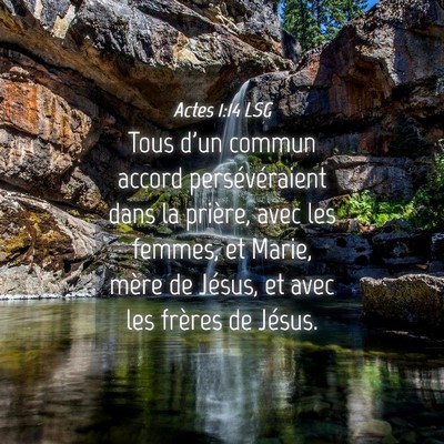 Picture 04 - Actes 1:14 LSG - Tous d'un commun accord persévéraient dans la - Bible Verse Picture