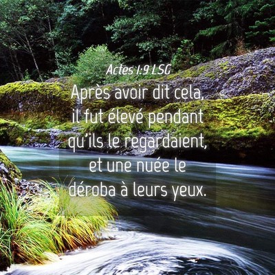 Picture 04 - Actes 1:9 LSG - Après avoir dit cela, il fut élevé pendant - Bible Verse Picture