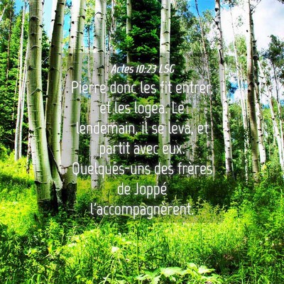 Picture 04 - Actes 10:23 LSG - Pierre donc les fit entrer, et les logea. Le - Bible Verse Picture