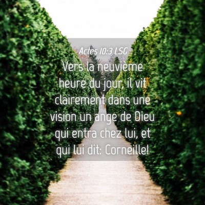 Picture 04 - Actes 10:3 LSG - Vers la neuvième heure du jour, il vit - Bible Verse Picture