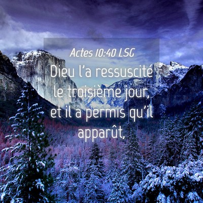 Picture 04 - Actes 10:40 LSG - Dieu l'a ressuscité le troisième jour, et il a - Bible Verse Picture