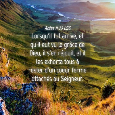 Picture 04 - Actes 11:23 LSG - Lorsqu'il fut arrivé, et qu'il eut vu la grâce - Bible Verse Picture
