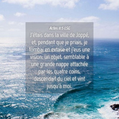 Picture 04 - Actes 11:5 LSG - J'étais dans la ville de Joppé, et, pendant que - Bible Verse Picture
