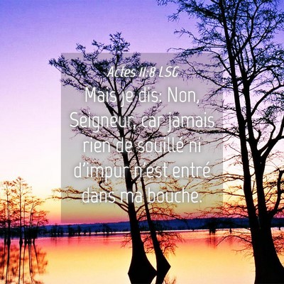 Picture 04 - Actes 11:8 LSG - Mais je dis: Non, Seigneur, car jamais rien de - Bible Verse Picture