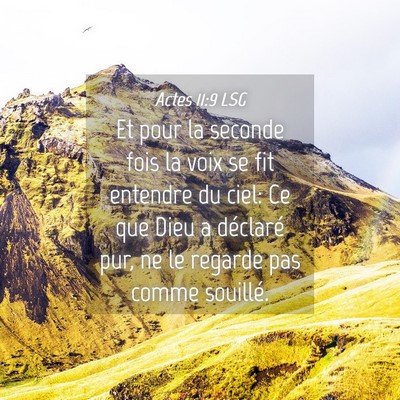 Picture 04 - Actes 11:9 LSG - Et pour la seconde fois la voix se fit entendre - Bible Verse Picture