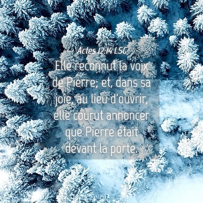 Picture 04 - Actes 12:14 LSG - Elle reconnut la voix de Pierre; et, dans sa - Bible Verse Picture