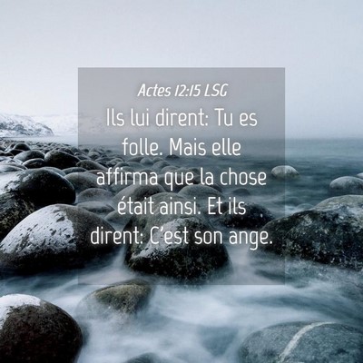 Picture 04 - Actes 12:15 LSG - Ils lui dirent: Tu es folle. Mais elle affirma - Bible Verse Picture