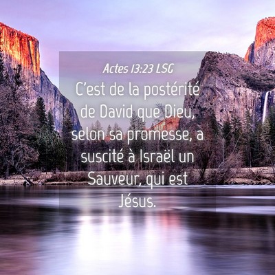 Picture 04 - Actes 13:23 LSG - C'est de la postérité de David que Dieu, selon - Bible Verse Picture