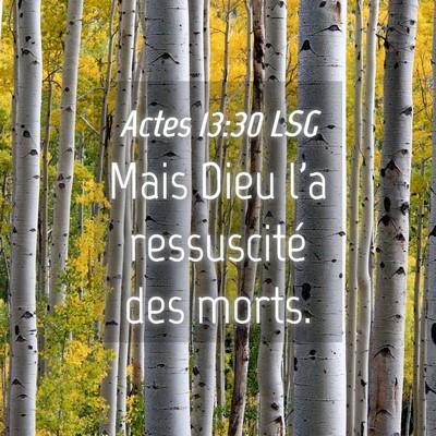 Picture 04 - Actes 13:30 LSG - Mais Dieu l'a ressuscité des - Bible Verse Picture
