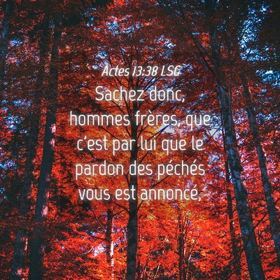 Picture 04 - Actes 13:38 LSG - Sachez donc, hommes frères, que c'est par lui - Bible Verse Picture