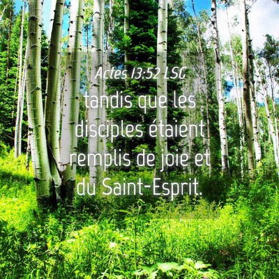 Picture 04 - Actes 13:52 LSG - tandis que les disciples étaient remplis de joie - Bible Verse Picture