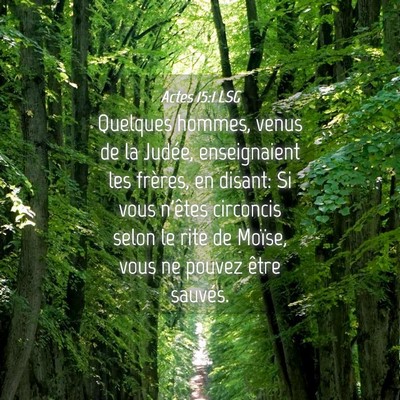 Picture 04 - Actes 15:1 LSG - Quelques hommes, venus de la Judée, enseignaient - Bible Verse Picture