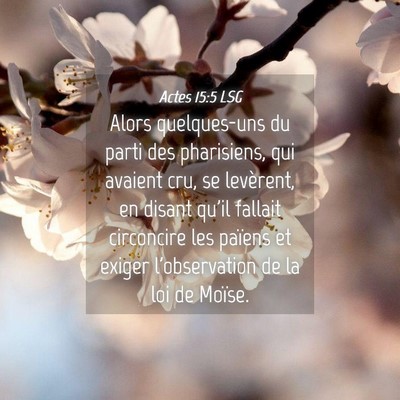 Picture 04 - Actes 15:5 LSG - Alors quelques-uns du parti des pharisiens, qui - Bible Verse Picture