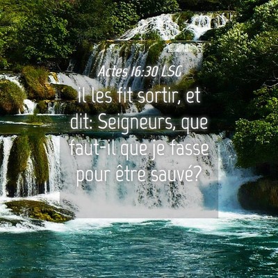 Picture 04 - Actes 16:30 LSG - il les fit sortir, et dit: Seigneurs, que faut-il - Bible Verse Picture