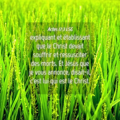 Picture 04 - Actes 17:3 LSG - expliquant et établissant que le Christ devait - Bible Verse Picture