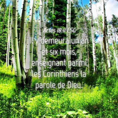 Picture 04 - Actes 18:11 LSG - Il y demeura un an et six mois, enseignant parmi - Bible Verse Picture