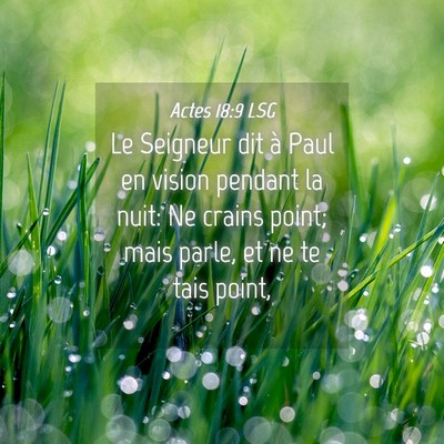 Picture 04 - Actes 18:9 LSG - Le Seigneur dit à Paul en vision pendant la - Bible Verse Picture