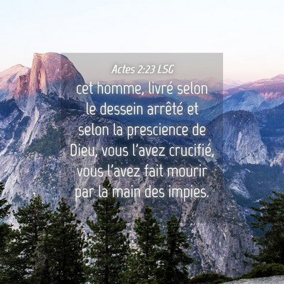 Picture 04 - Actes 2:23 LSG - cet homme, livré selon le dessein arrêté et - Bible Verse Picture