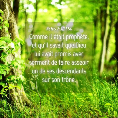 Picture 04 - Actes 2:30 LSG - Comme il était prophète, et qu'il savait que - Bible Verse Picture