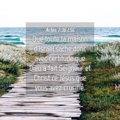 Picture 04 - Actes 2:36 LSG - Que toute la maison d'Israël sache donc avec - Bible Verse Picture