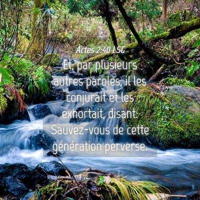 Picture 04 - Actes 2:40 LSG - Et, par plusieurs autres paroles, il les - Bible Verse Picture