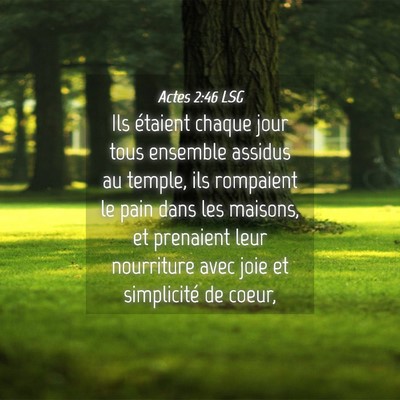 Picture 04 - Actes 2:46 LSG - Ils étaient chaque jour tous ensemble assidus au - Bible Verse Picture