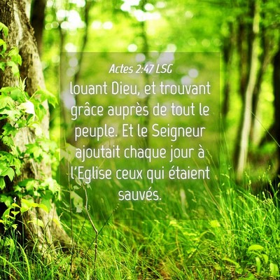 Picture 04 - Actes 2:47 LSG - louant Dieu, et trouvant grâce auprès de tout - Bible Verse Picture