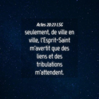 Picture 04 - Actes 20:23 LSG - seulement, de ville en ville, l'Esprit-Saint - Bible Verse Picture