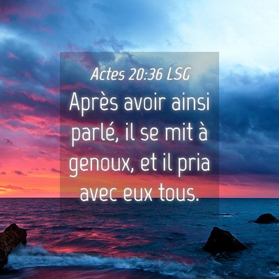 Picture 04 - Actes 20:36 LSG - Après avoir ainsi parlé, il se mit à genoux, - Bible Verse Picture